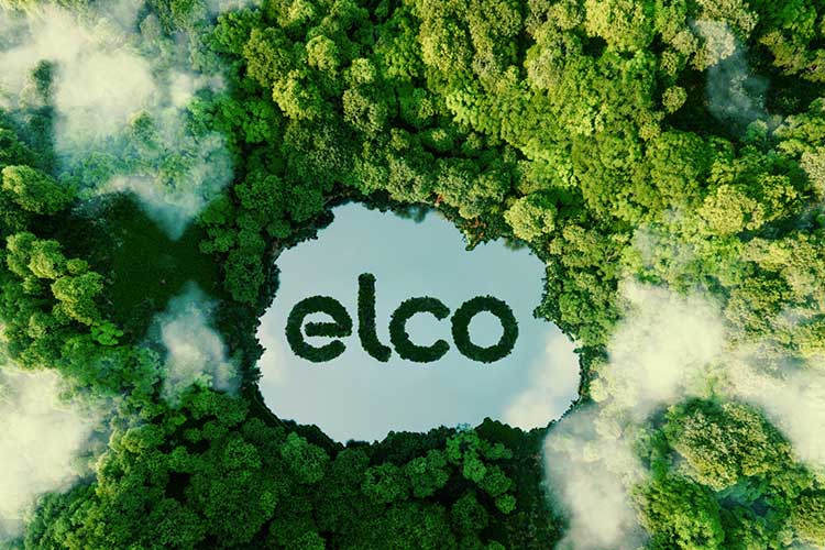 Wald und See von oben