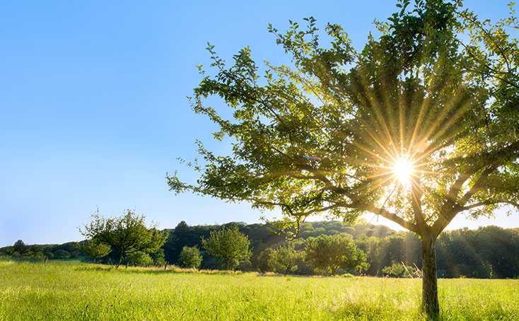 Hybrid-Systeme erfüllen die GEG Vorgaben