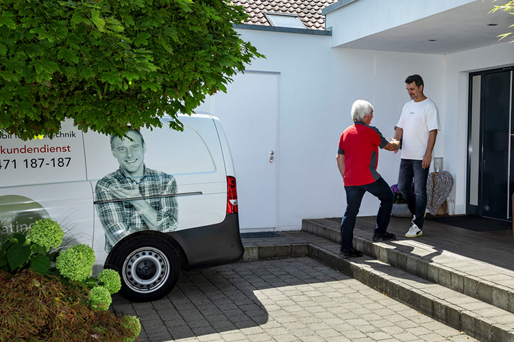 grüne Wiese in Abendlicht