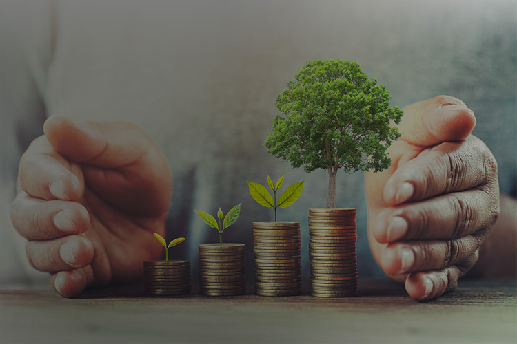 Stapel aus Kleingeld, die Wachstum symbolisieren